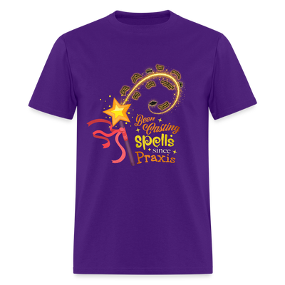 Spells and the Praxis - purple